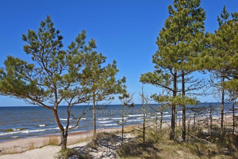 Optimistas Lägenhet Palanga Exteriör bild